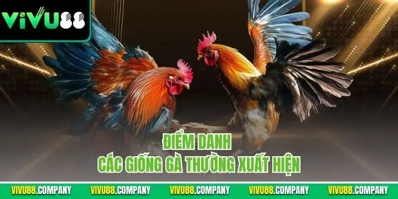 Điểm danh các giống gà thường xuất hiện