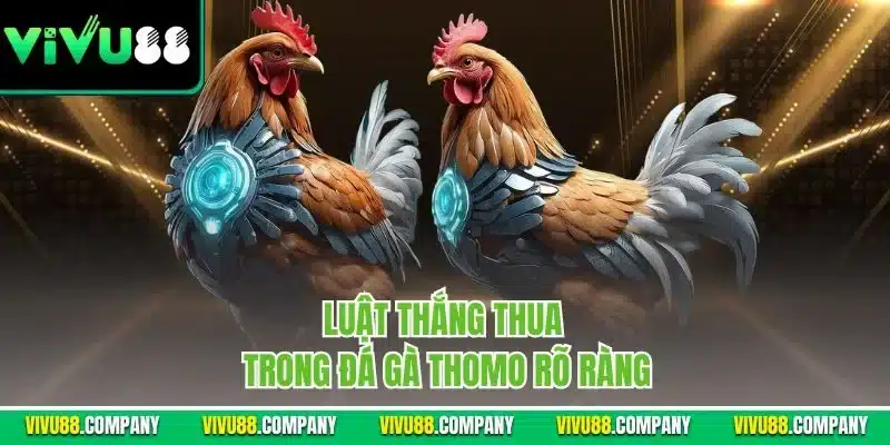 Luật thắng thua trong đá gà Thomo rõ ràng